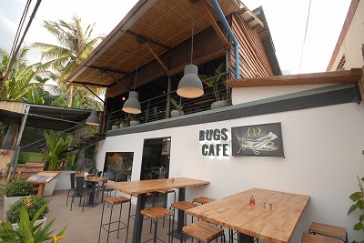 09_Bugs (1)