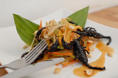 09_Bugs (2)