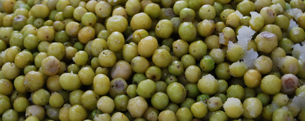 1. Gooseberry