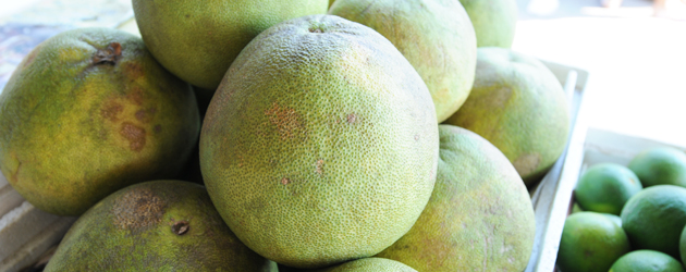 16.Pomelo