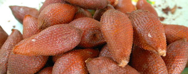 18.Salak Palm