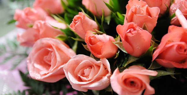 19-f2_rose