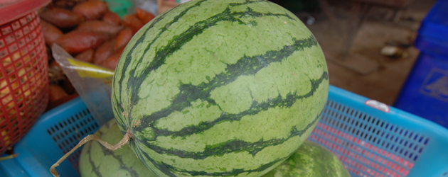 22.Watermelon