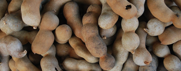 25.Tamarind