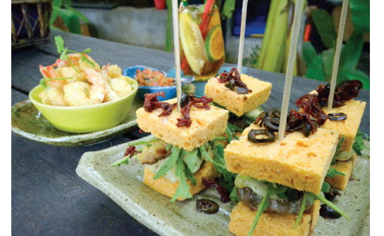 26-gastrobarbotanico
