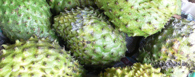 26.Soursop