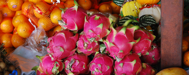 27.Dragon Fruit