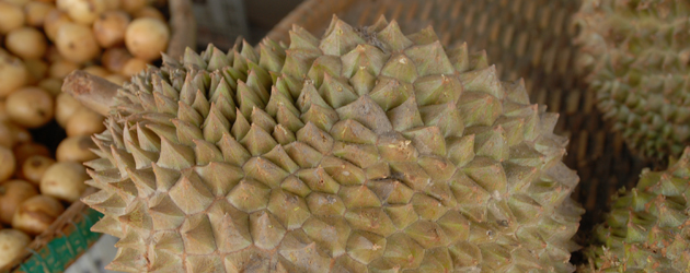 28.Durian