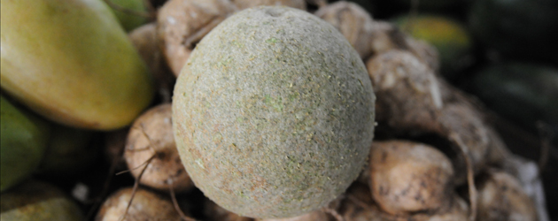 3.Wood Apple