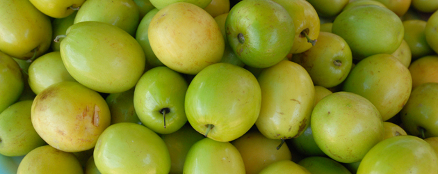 30.Jujube