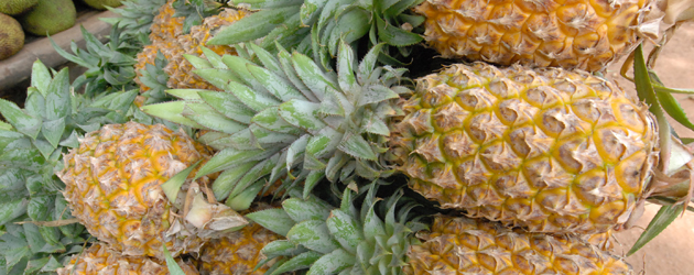 31.Pineapple