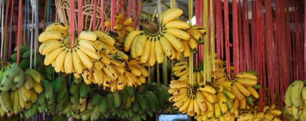 34.Banana