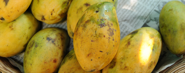 40.Mango