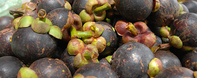 41.Mangosteen