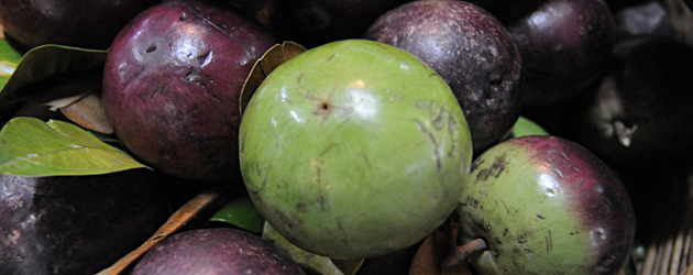 42.Milk Fruit