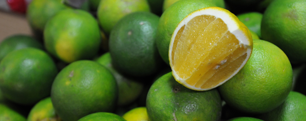 45.Lime