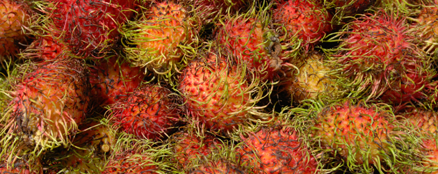 46.Rambutan