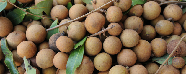 48.Longan