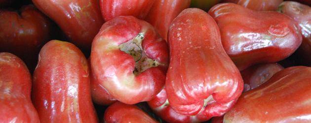 51.Wax Apple