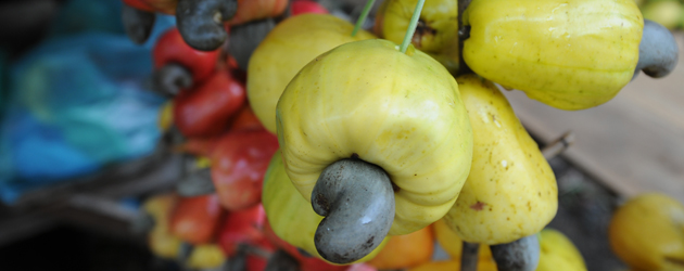6.Cashew