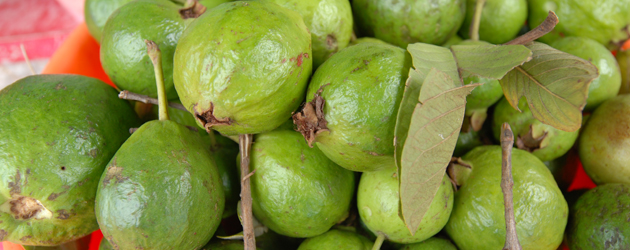 9.Guava