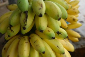 chicken-egg-banana