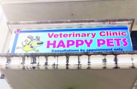pet clinic